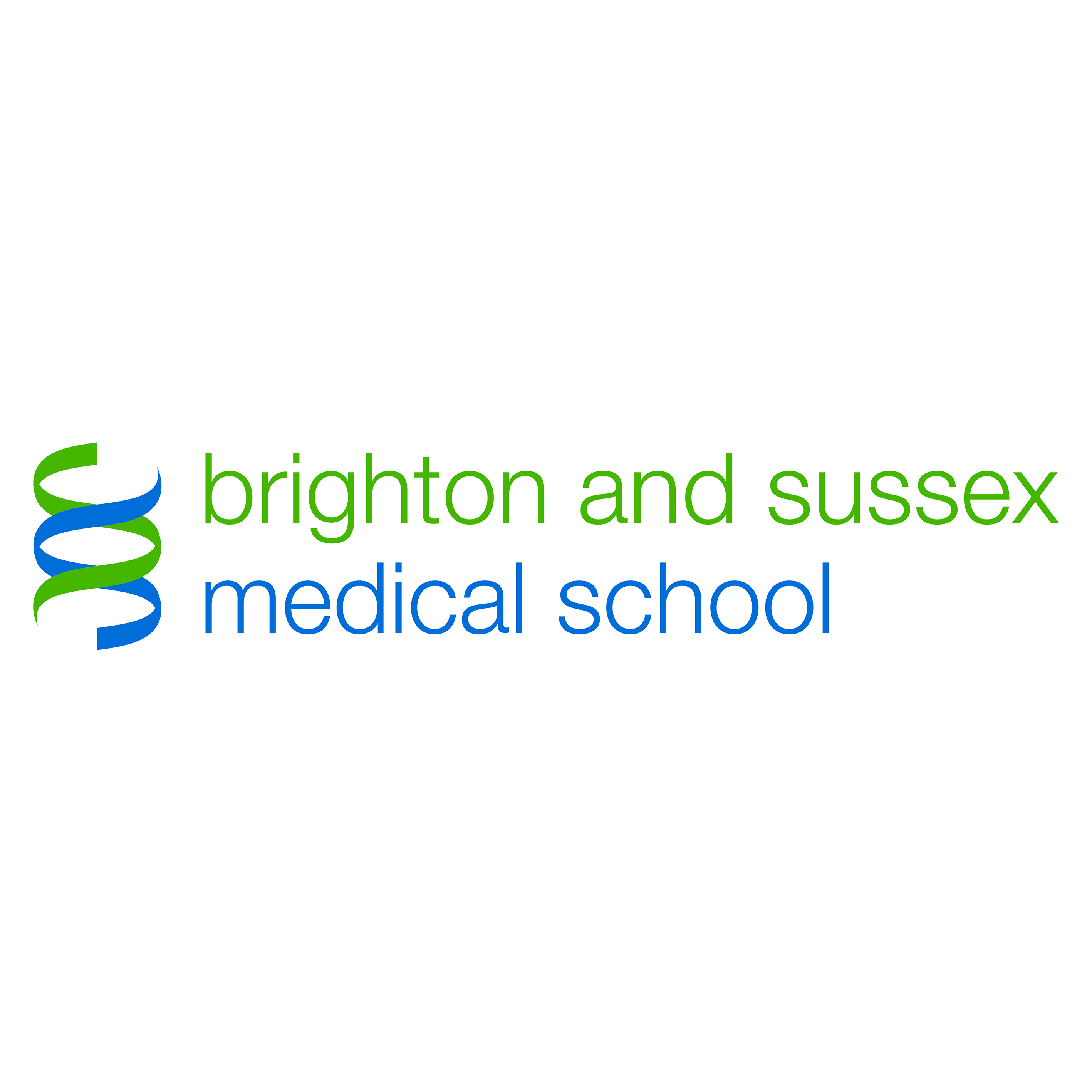 BSMS Logo